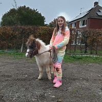 Profilbild