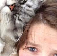 Profilbild