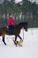 Profilbild Larissa Deymann