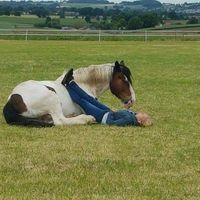 Profilbild