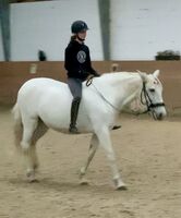 Profilbild Pia Pfaffmann