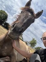 Profilbild Nadine