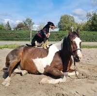 Profilbild