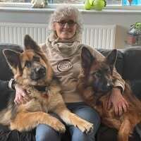 Profilbild