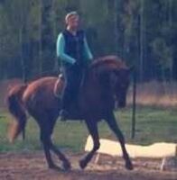 Profilbild