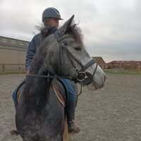 Profilbild