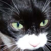 Profilbild