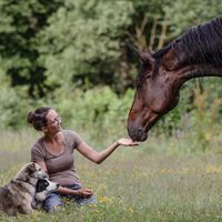 Profilbild Anne-Kathrin Roggan