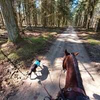 Profilbild Marina Nimetz