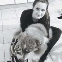 Profilbild