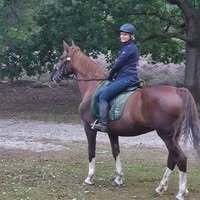 Profilbild