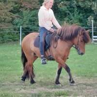 Profilbild