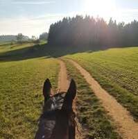 Profilbild
