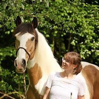 Profilbild