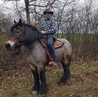 Profilbild