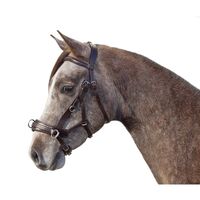 Profilbild Nachhaltig-Pferdeliebe