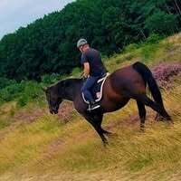 Profilbild