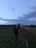Profilbild