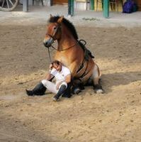 Profilbild