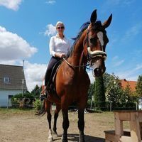 Profilbild