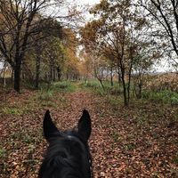 Profilbild
