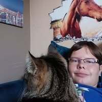 Profilbild