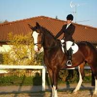 Profilbild
