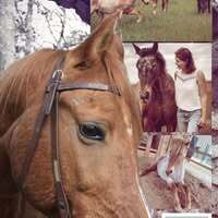 Profilbild Svenja franke