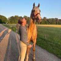 Profilbild