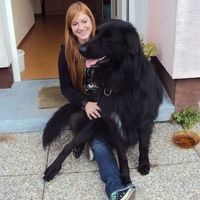 Profilbild Doris Schram