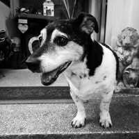 Profilbild Sandra Platz-Schomisch