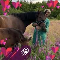 Profilbild