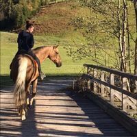 Profilbild Valentina