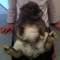 Profilbild