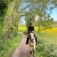 Profilbild