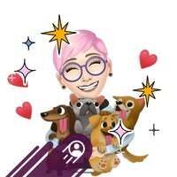 Profilbild