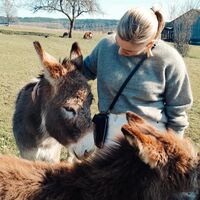 Profilbild Franziska Hönle