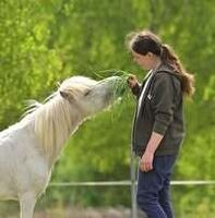 Profilbild