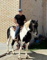 Profilbild Srdjan